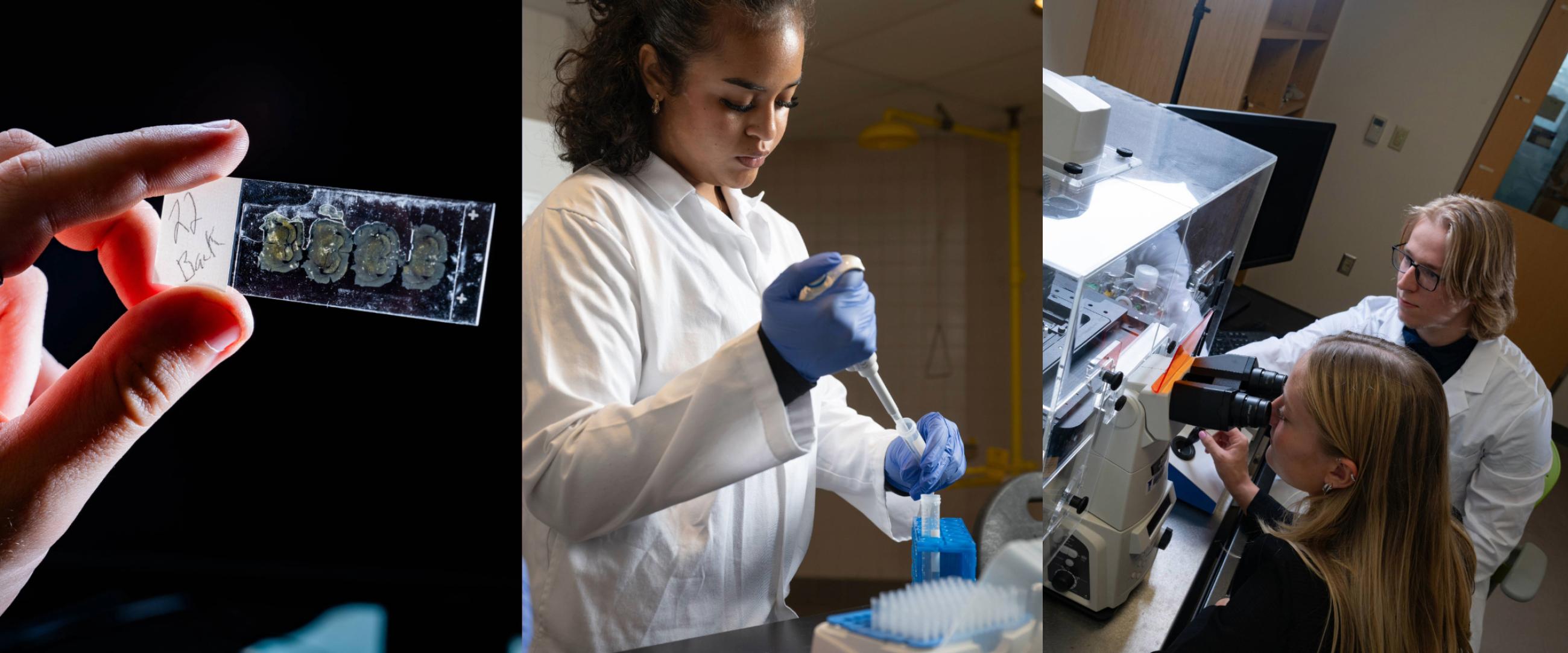 Collage of neuroscience students