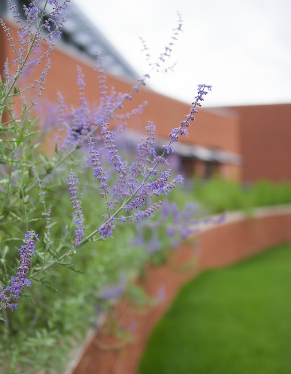 Engleman building front