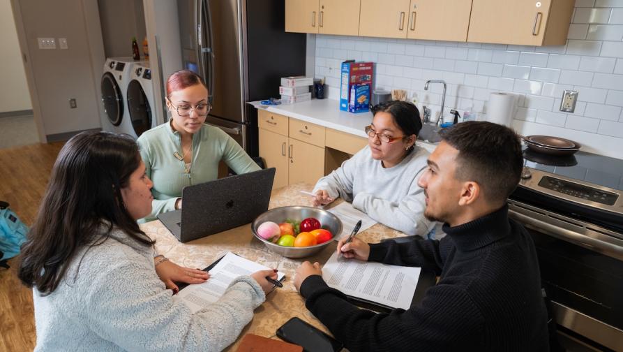 Students around a kitchen table